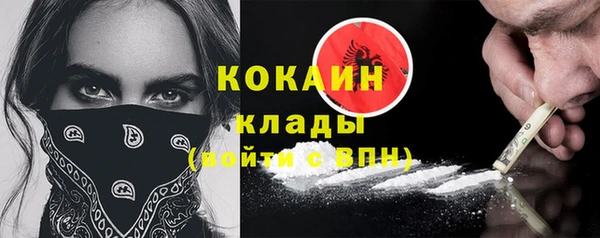 прущий лед Каменка