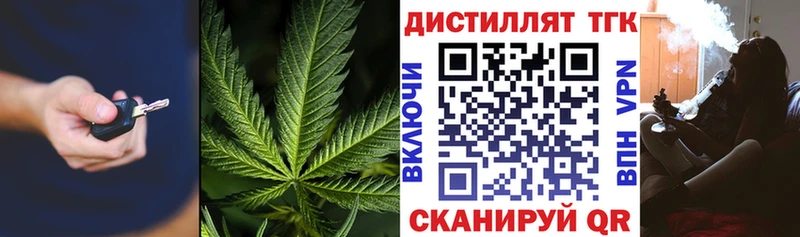 купить закладку  Кириши  ТГК вейп 