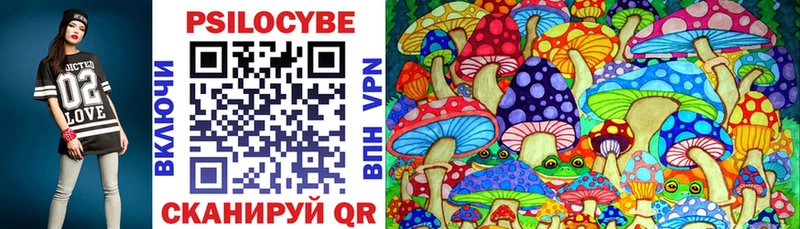 сколько стоит Кириши Псилоцибиновые грибы MAGIC MUSHROOMS