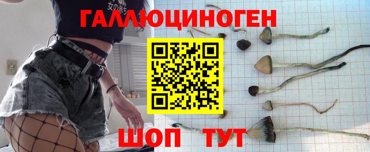 Псилоцибиновые грибы Cubensis Кириши