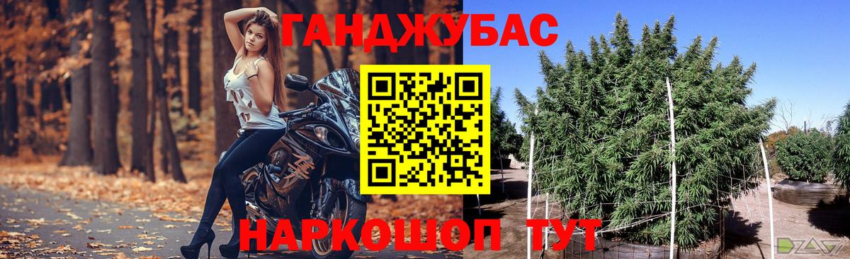 МАРИХУАНА OG Kush  Марихуана семена  Канабис MAZAR  Кириши 